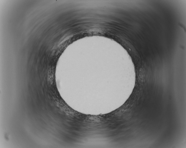 X0000103501015200810241120