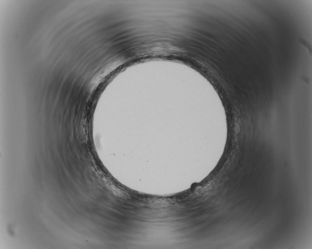 X0000103501018200810241120