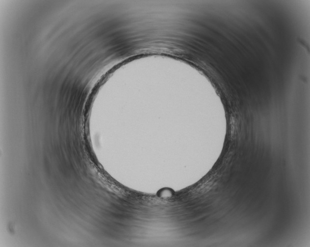 X0000103501020200810241120