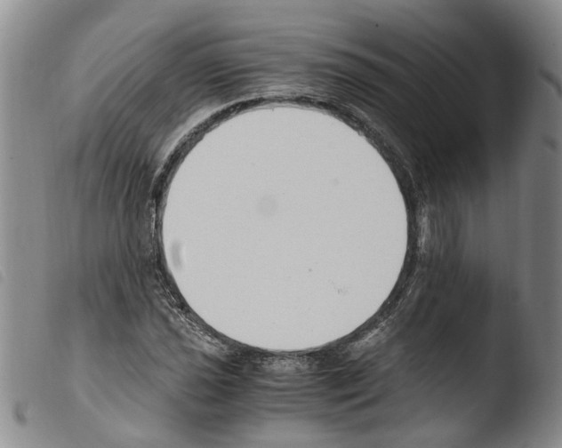 X0000103501021200810241120