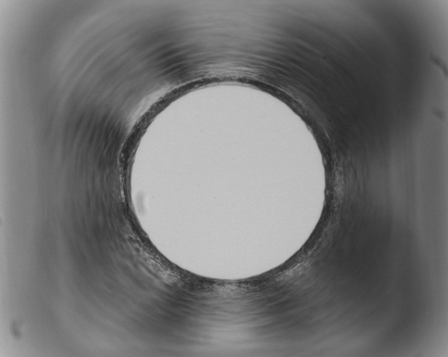 X0000103501022200810241120