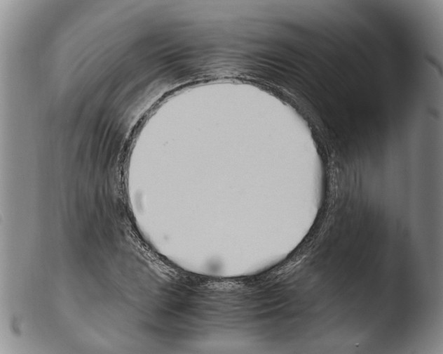 X0000103501023200810241120