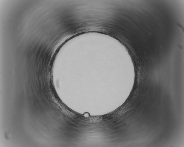 X0000103501024200810241120