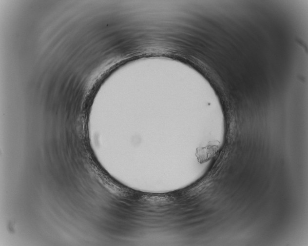 X0000103501027200810241120