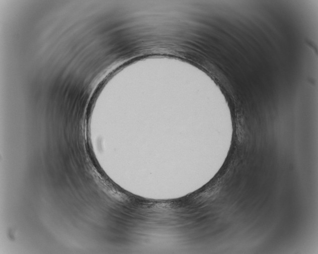 X0000103501028200810241120