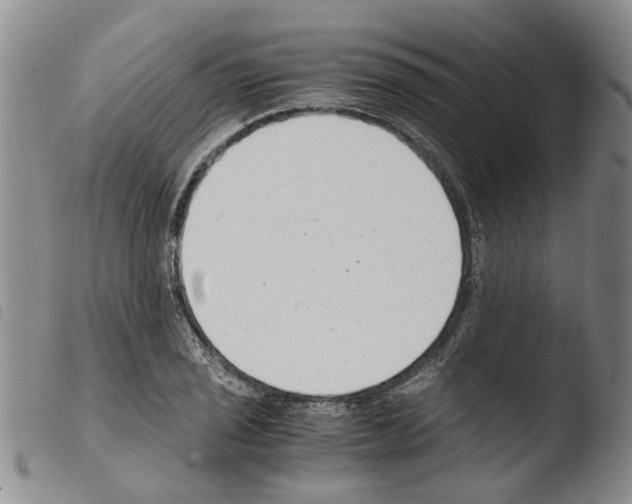 X0000103501029200810241120