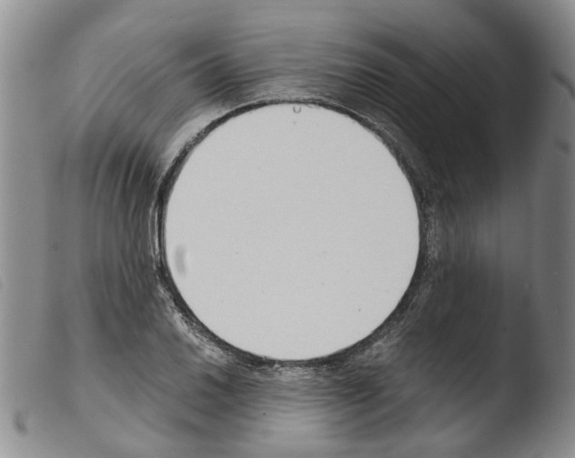 X0000103501030200810241120