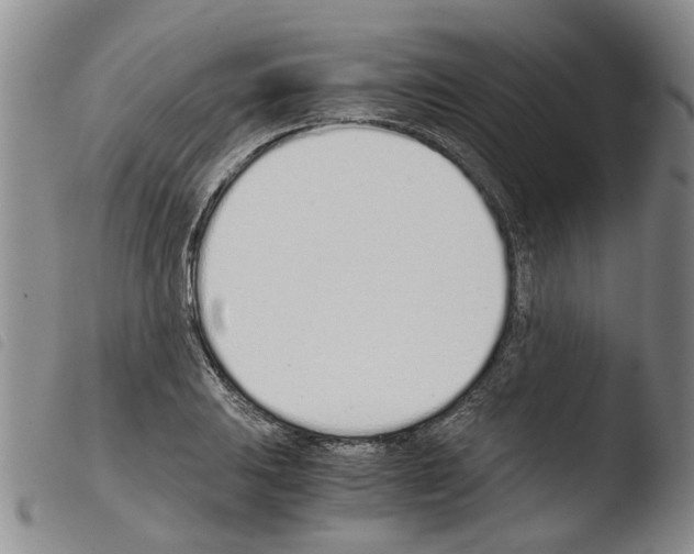 X0000103501031200810241120