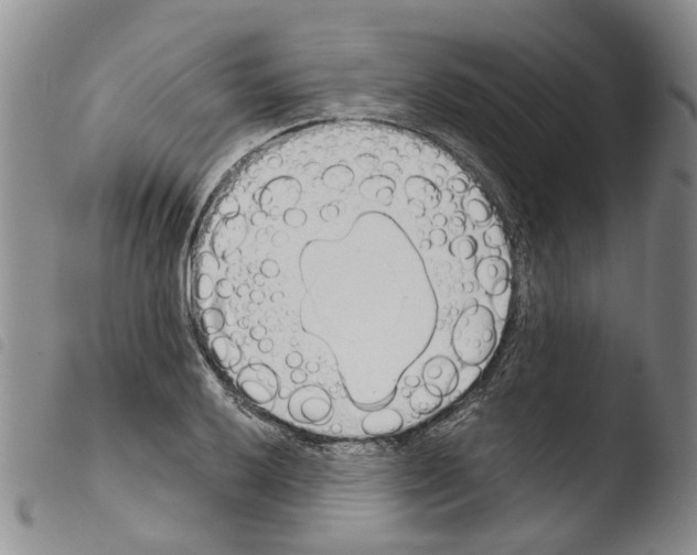 X0000103501032200810241120