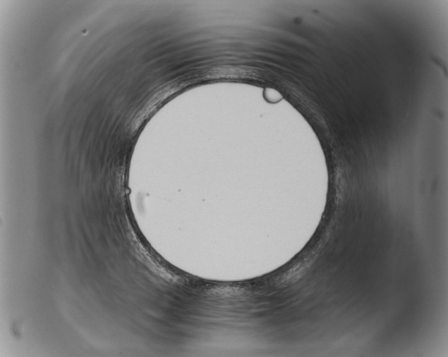 X0000103501033200810241120