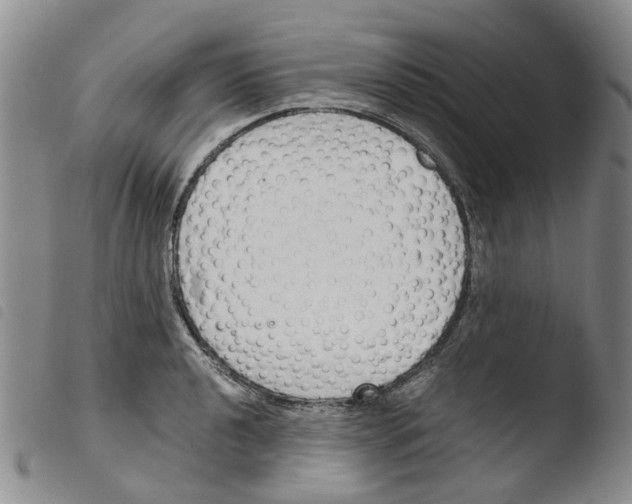 X0000103501040200810241120