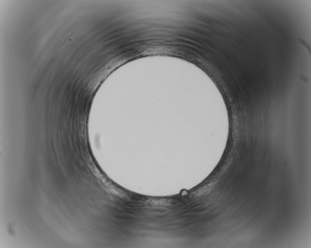 X0000103501041200810241120