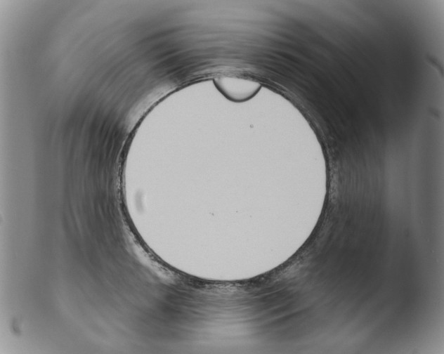 X0000103501042200810241120