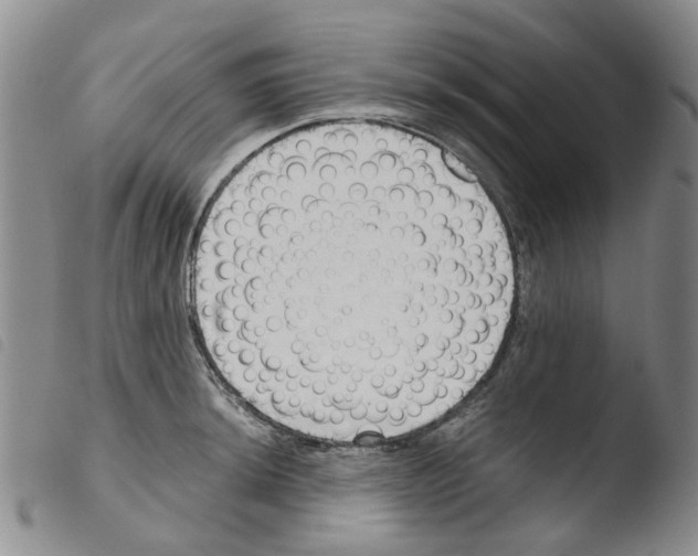 X0000103501044200810241120