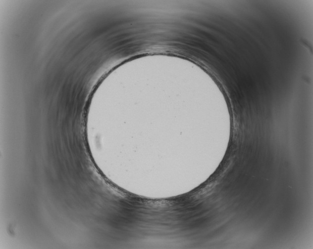 X0000103501045200810241120