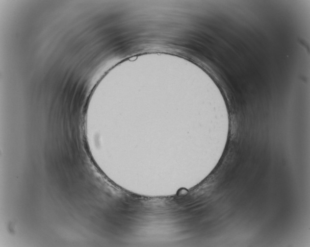 X0000103501048200810241120