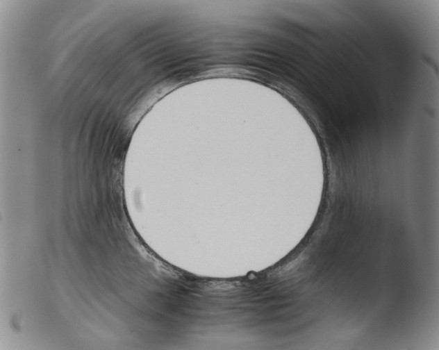 X0000103501049200810241120