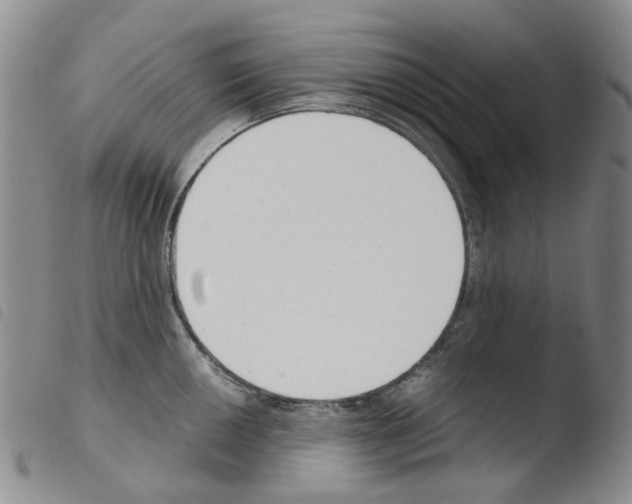 X0000103501050200810241120