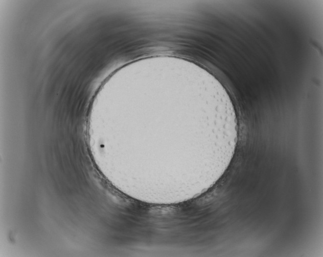 X0000103501051200810241120