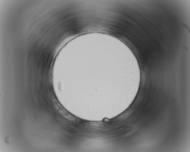 X0000103501052200810241120