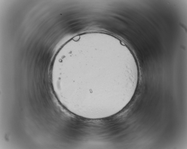 X0000103501053200810241120