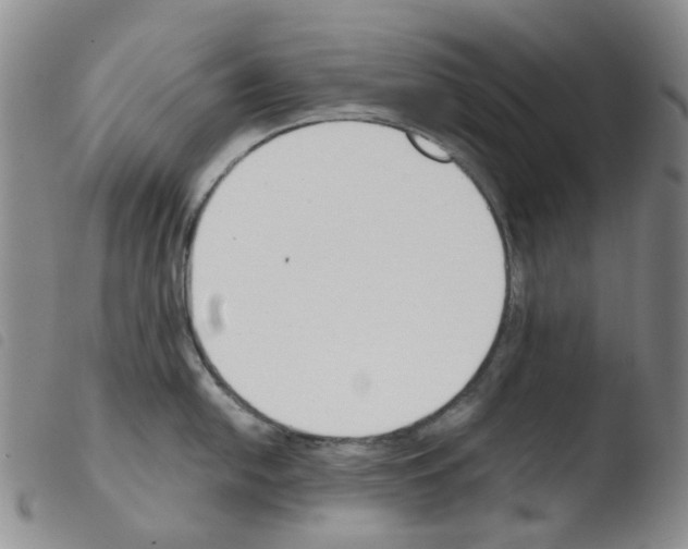 X0000103501054200810241121