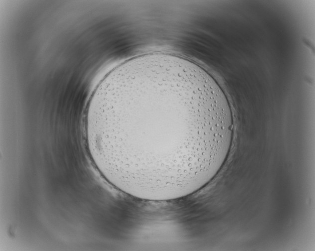 X0000103501056200810241121