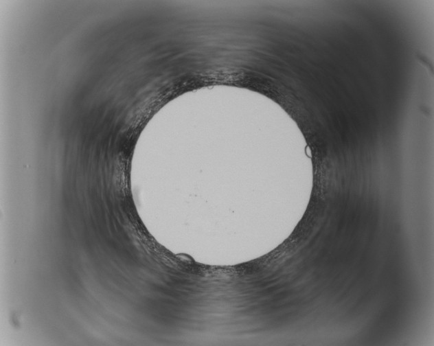 X0000103501058200810241120