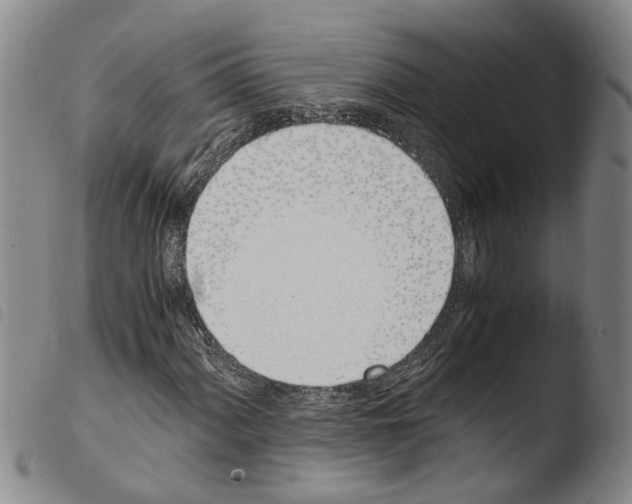 X0000103501060200810241120