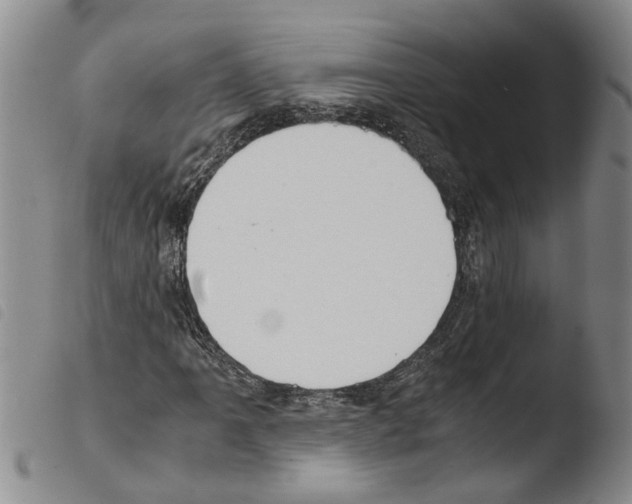 X0000103501061200810241120