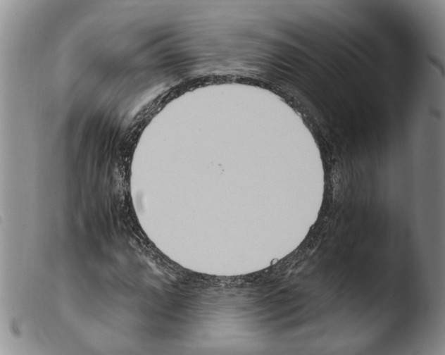 X0000103501064200810241120