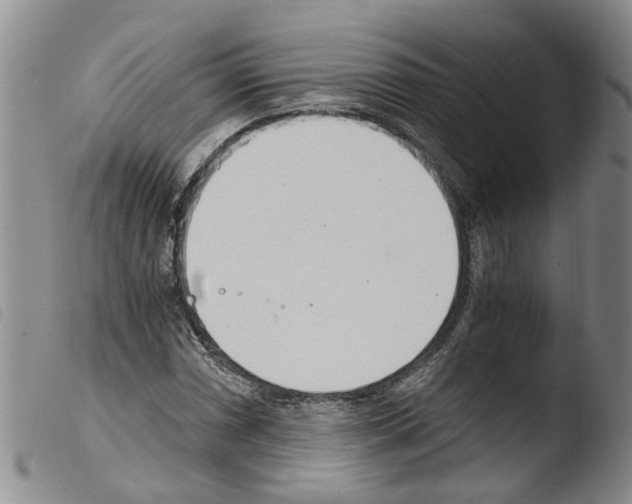 X0000103501066200810241120