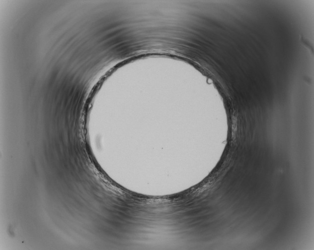 X0000103501068200810241120