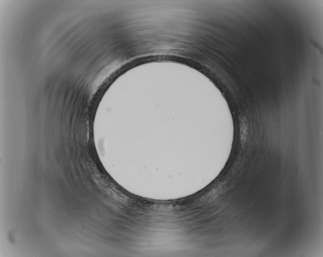 X0000103501069200810241120