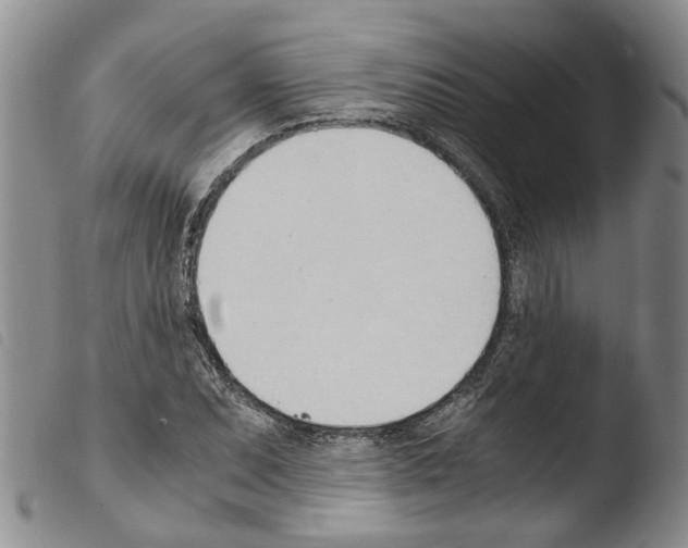 X0000103501071200810241120