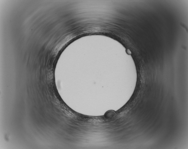 X0000103501073200810241120