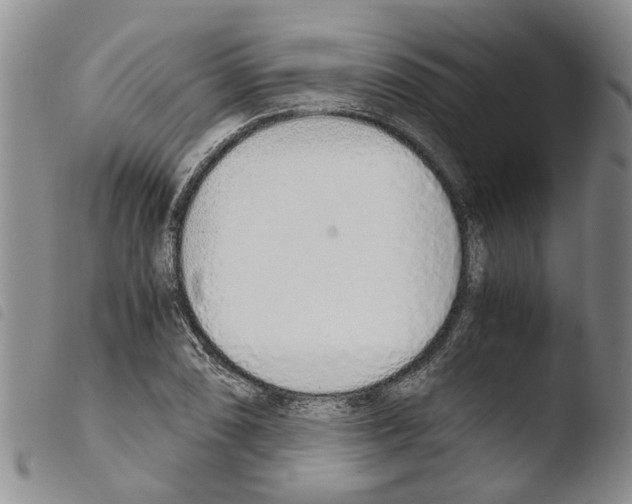 X0000103501074200810241120