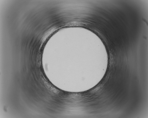 X0000103501075200810241120