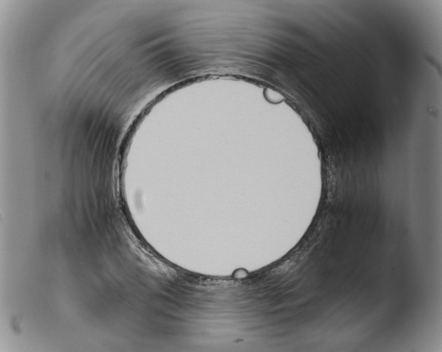 X0000103501076200810241120