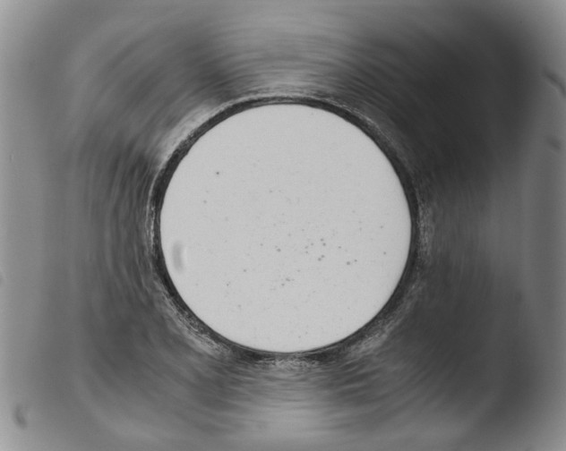 X0000103501077200810241120