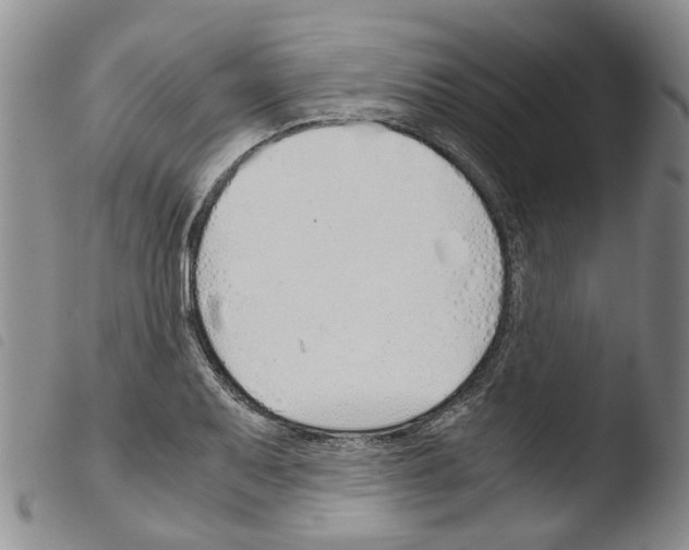 X0000103501079200810241120