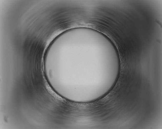 X0000103501080200810241120