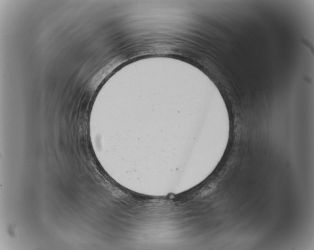 X0000103501081200810241120