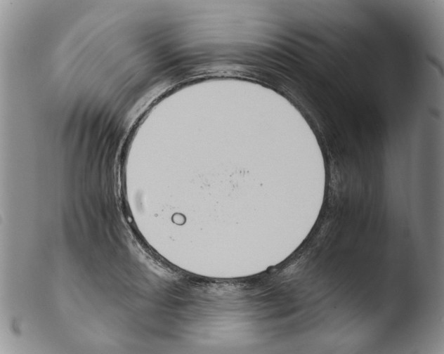 X0000103501082200810241120