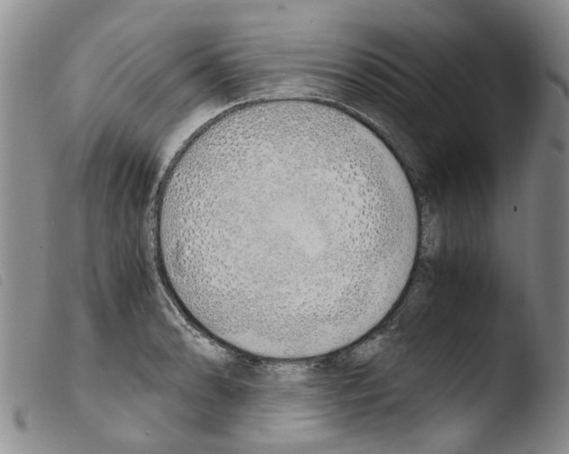 X0000103501086200810241119