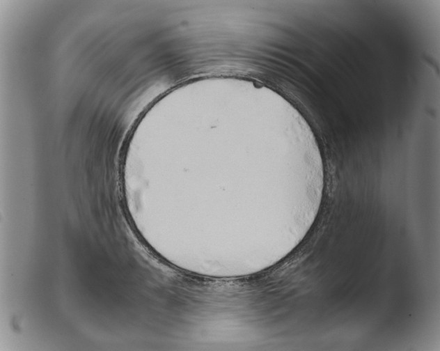 X0000103501087200810241119