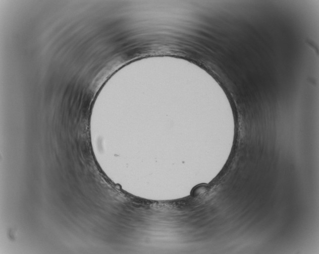 X0000103501089200810241119