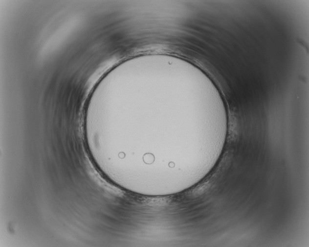 X0000103501090200810241119