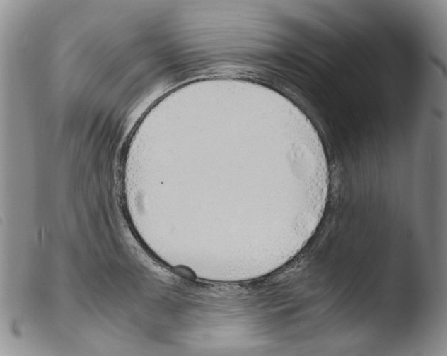 X0000103501091200810241119