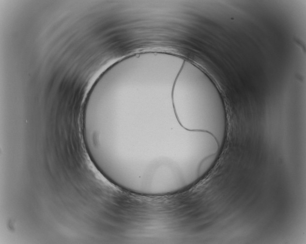 X0000103501092200810241119